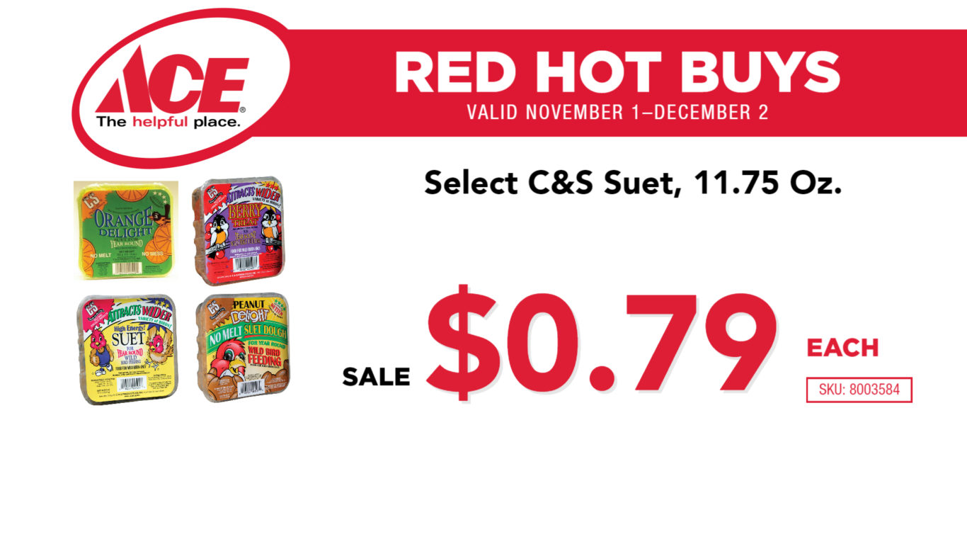 Charlevoix Ace Hardware November 2019 Red Hot Buys